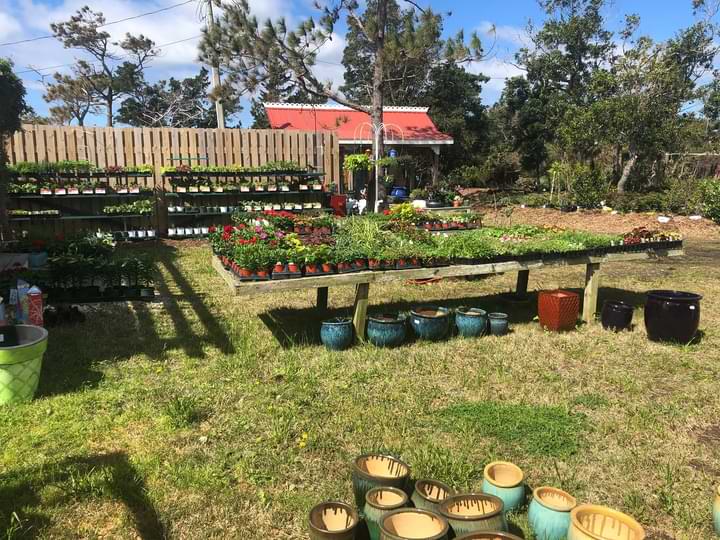 Things To Do Ocracoke Garden Center